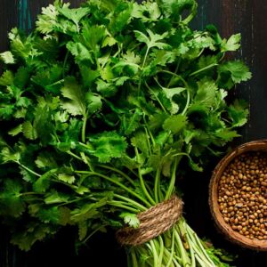 Coriander (Dhania)