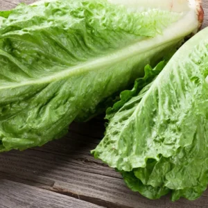 Lettuce