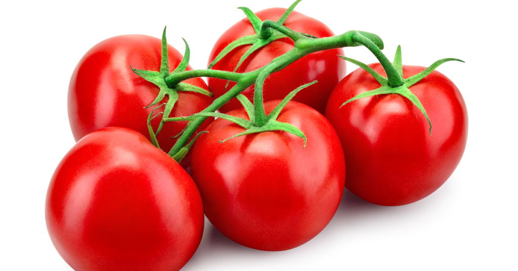 Tomato