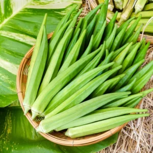 Okra (Bhindi)