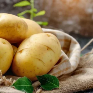 Potato