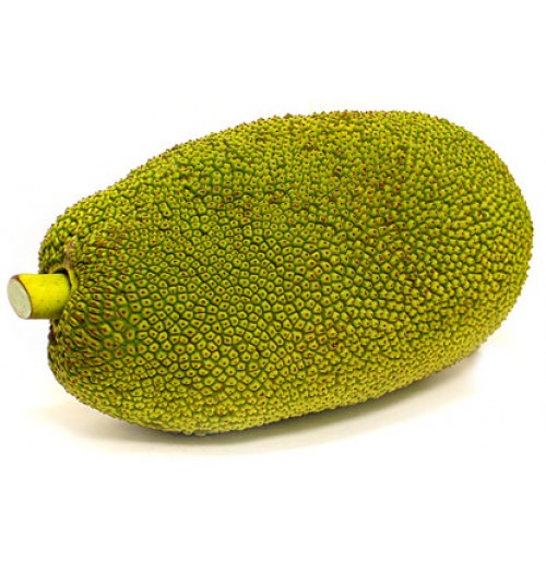 Jackfruit - Image 2