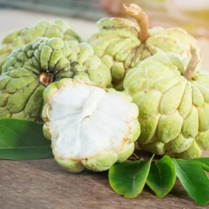 Custard Apple (Sitaphal)