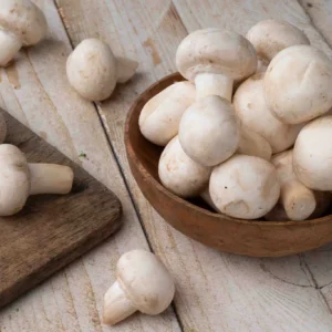Mushroom