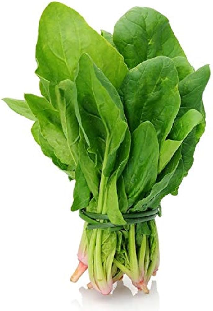 Spinach - Image 2