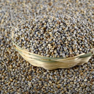 Bajra (Pearl Millet)