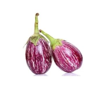 Brinjal (Eggplant)