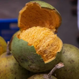 Bael (Wood Apple)