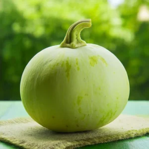 Bottle Gourd (Lauki)