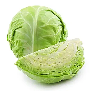 Cabbage