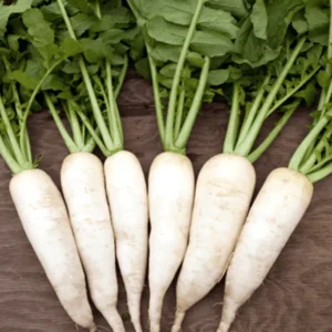 Radish (Mooli)